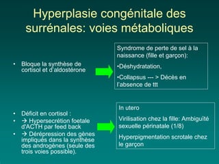 Hyperplasie congénitale des
     surrénales: voies métaboliques
                                 Syndrome de perte de sel à la
                                 naissance (fille et garçon):
•   Bloque la synthèse de        •Déshydratation,
    cortisol et d’aldostérone
                                 •Collapsus --- > Décès en
                                 l’absence de ttt


                                 In utero
•   Déficit en cortisol :
•      Hypersecrétion foetale    Virilisation chez la fille: Ambiguïté
    d'ACTH par feed back         sexuelle périnatale (1/8)
•      Dérépression des gènes    Hyperpigmentation scrotale chez
    impliqués dans la synthèse
    des androgènes (seule des    le garçon
    trois voies possible).
 