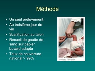 Méthode
• Un seul prélèvement
• Au troisième jour de
  vie
• Scarification au talon
• Recueil de goutte de
  sang sur papier
  buvard adapté
• Taux de couverture
  national > 99%
 