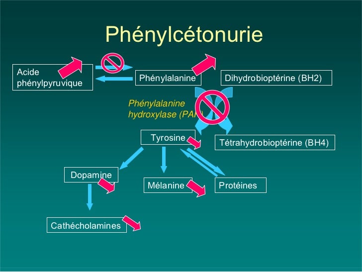 Depistage neonatal 1