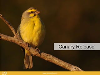 Exemple : Modification du champs adresse
Version N+2
Lecture
Ecriture
 