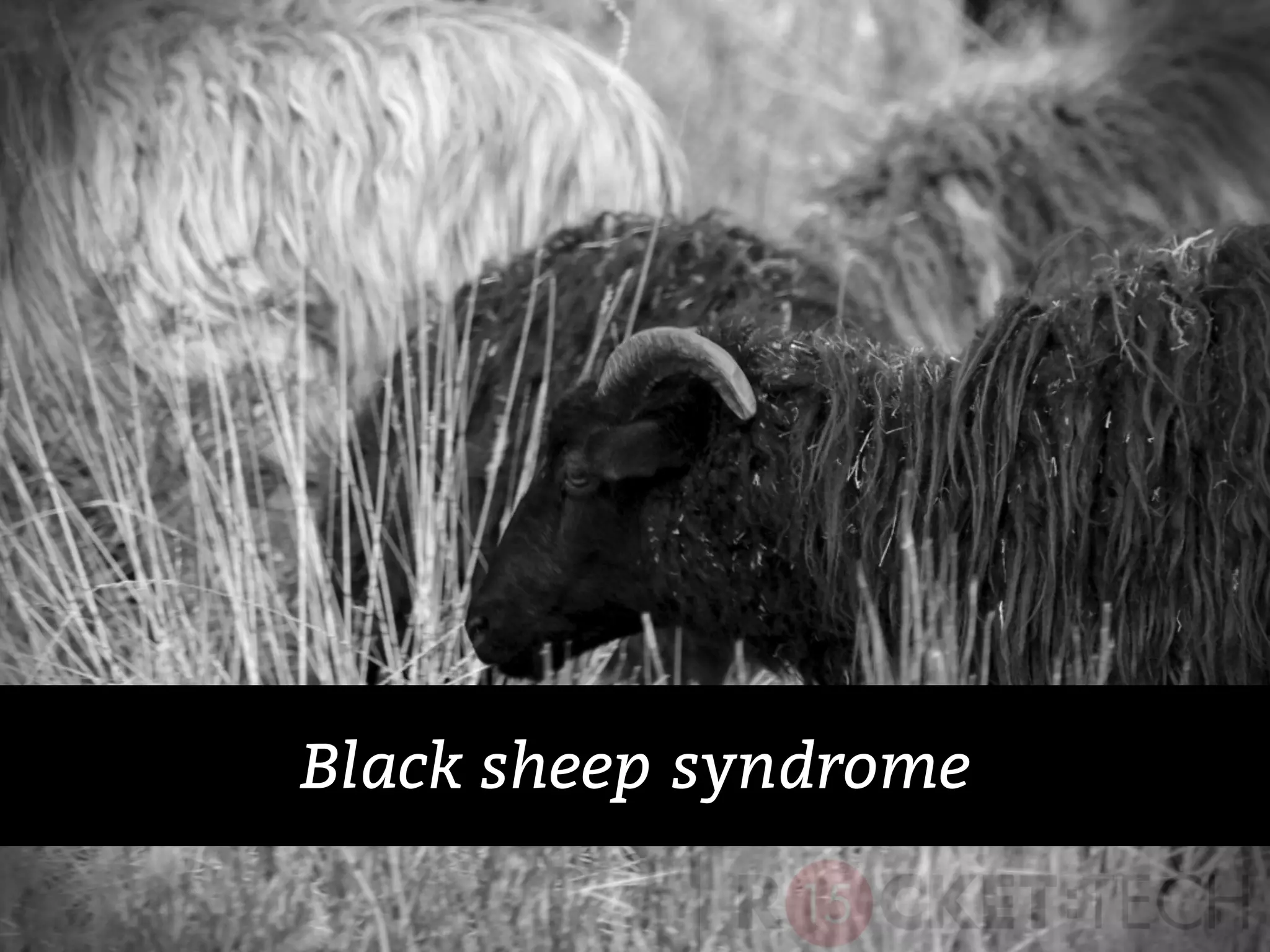 Black sheep syndrome
 