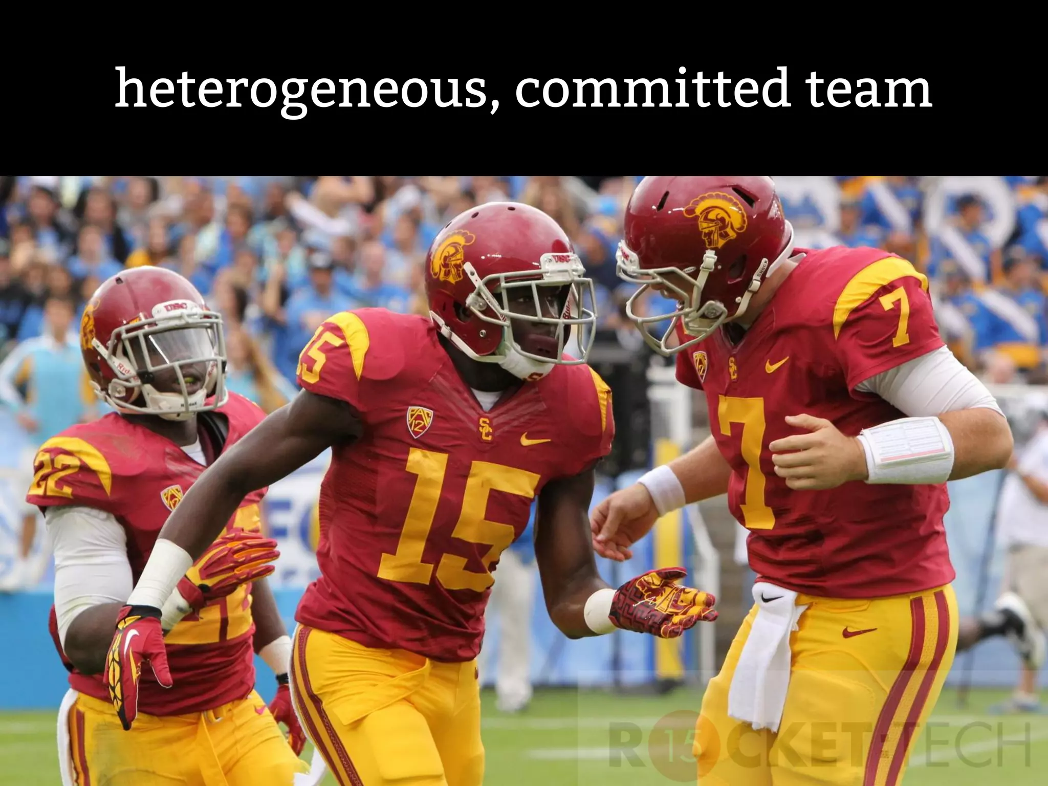 heterogeneous, committed team
 