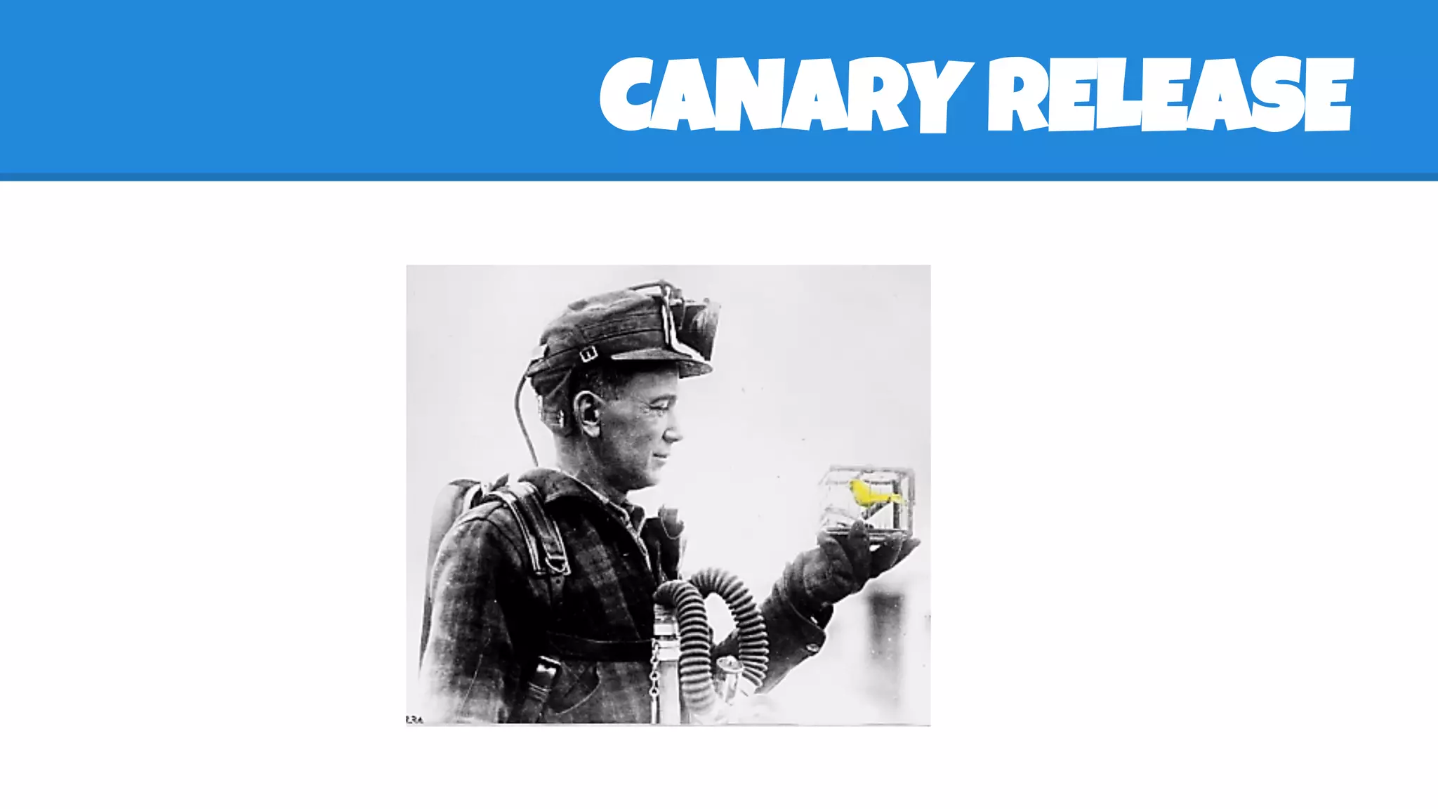 CANARY RELEASE