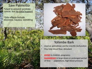 Saw Palmetto
•Used to prevent prostate
cancer, but no data/support
•Side effects include
dizziness, nausea, vomitting
Yohimbe Bark
• Used as aphrodisiac and for erectile dysfunction
• May help blood flow; stimulant
• AVOID in children, pregnancy
• DANGEROUS in large doses or prolonged period
of time  palpitations, high blood pressure
 
