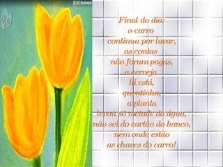 Final do dia: o carro  continua por lavar, as contas  não foram pagas, a cerveja  lá está, quentinha, a planta levou só metade da água, não sei do cartão do banco, nem onde estão as chaves do carro! 