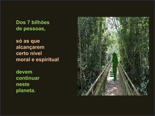 Dos 7 bilhões
de pessoas,

só as que
alcançarem
certo nível
moral e espiritual

devem
continuar
neste
planeta.
 