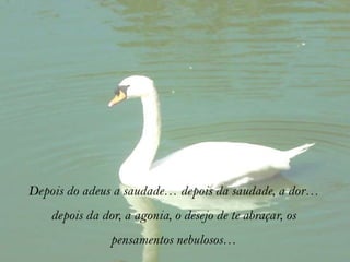 Depois do adeus a saudade… depois da saudade, a dor…
    depois da dor, a agonia, o desejo de te abraçar, os
                pensamentos nebulosos…
 