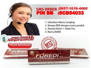 0857-1619-4600
PIN BB :5CB54033
 