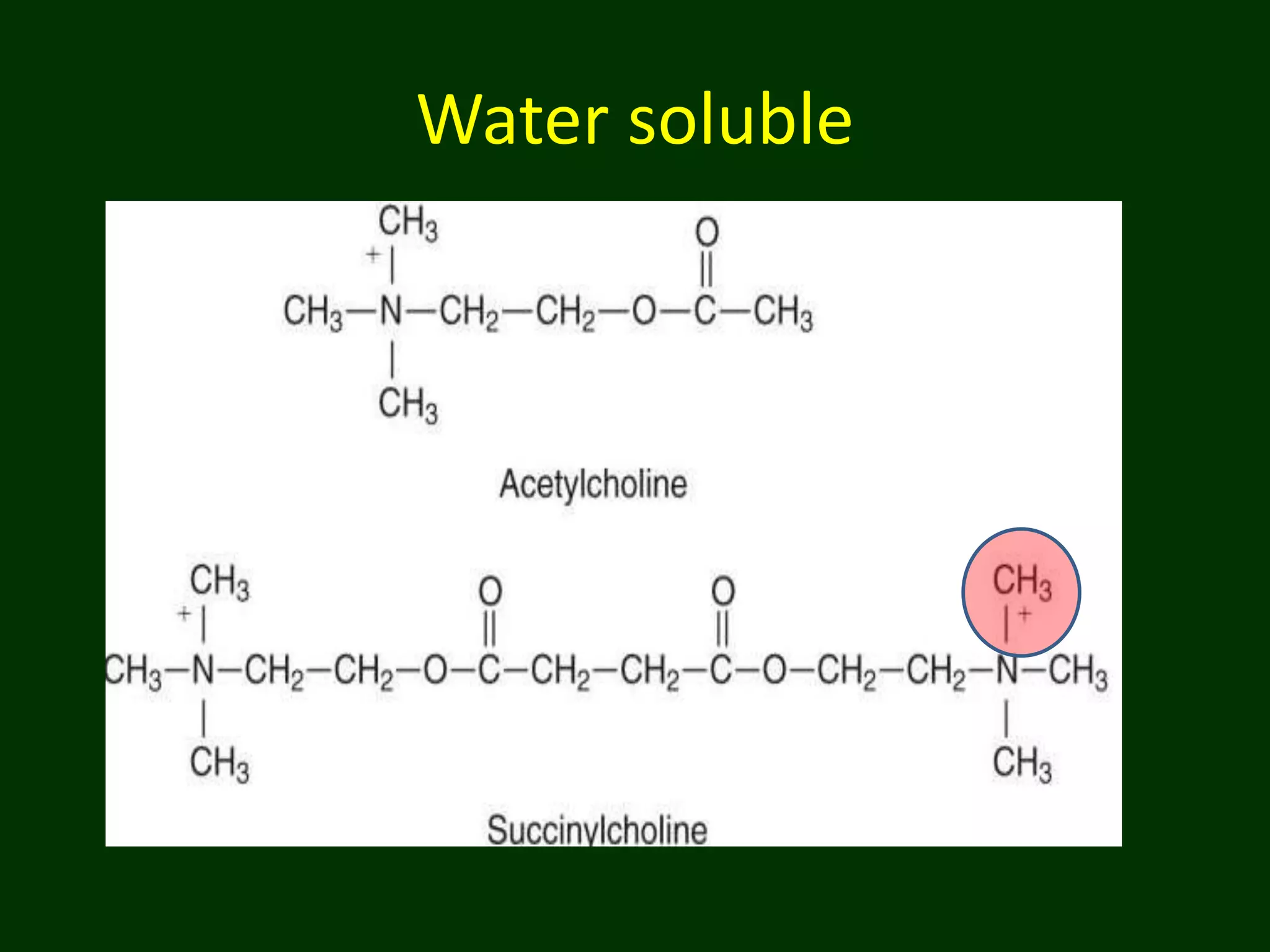 Chemical Structure Of Acetylcholine And Succinylcholine