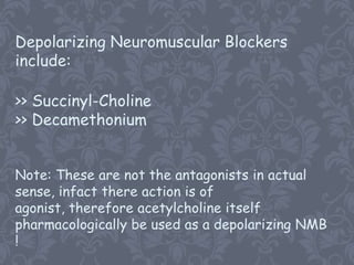 Depolarizing Neuromuscular Blockers
include:

>> Succinyl-Choline
>> Decamethonium


Note: These are not the antagonists in actual
sense, infact there action is of
agonist, therefore acetylcholine itself
pharmacologically be used as a depolarizing NMB
!
 