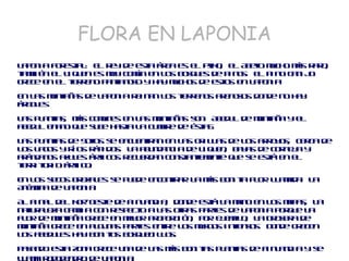 OTOÑO EN LAPONIA  Otoño - ruska 