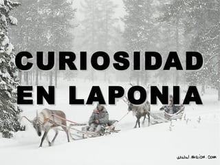 Uno de los más bonitos fenómenos del Norte es la Ruska, un brillo de colores que pasa en Laponia cada Otoño. Cuando llega la Ruska, le pone un vestido, a la naturaleza de colores rojo naranja, amarillo y diferentes degradaciones del color marrón. La Ruska nace cuando los días empiezan a ser más cortos y las noches más largas y la temperatura van bajando, haciendo que las plantas cambien el metabolismo con el que rompen su verdosidad y se van descomponiendo poco a poco, dándole un pigmento brilloso a los demás colores resaltando así el Amarillo, rojo y otros colores. La Época de Ruska es de Septiembre a Octubre . 