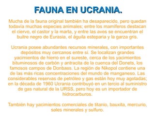 El animal típico de la naturaleza de Laponia es el RENO. Una señal del norte. Pertenece a la familia de los ciervos salvajes, éste esta en estado semi-salvaje. En realidad se dice que el reno es medio salvaje, porque ya esta habituado al hombre, pero sigue viviendo suelto en los campos de Laponia. Los renos, como muchos animales, también cambian de sitios todo depende de la época del año. En primavera y verano les gusta los terrenos pantanosos, en Otoño están en los bosques donde crecen los Abetos. En verano comen las hojas de arbustos, hierva y césped. En invierno es sano y limpio de aire, la comida vital para los renos es el liquen que crece en los árboles y en la tierra en los lugares donde hay pinos.  En la Laponia de Finlandia hay 200.000 renos. Dueños y criadores de renos hay 6.500. Cada dueño reconoce a su ganado por la marca que le hace en las orejas.  La marca de las crías: Durante el verano los dueños recogen su ganado en sus especiales corrales, donde marcan las crías con la misma que tienen sus madres. En Otoño y principios de invierno se hace una nueva recogida para volver a marcar.  Rodeo de renos: Cuando los dueños recogen el ganado en el Otoño, también separan los que van a matar, los más fuertes y jóvenes que servirán para procrear, dándoles la vacuna contra los parásitos u otras clases de enfermedades que podrían tener, al mismo tiempo separan los que no les pertenecen y los llevan a las tierras de sus dueños.  Estos rodeos son unos acontecimientos de fiesta en los cuales son bienvenidos los turistas, o quienes quieran participar. 