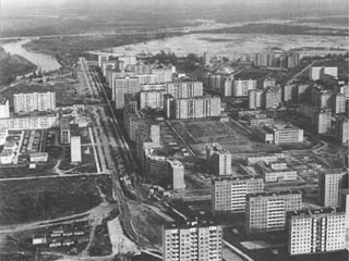 FLORA EN UCRANIA La vegetación original del área formó tres amplias franjas que atraviesan el territorio de Ucrania latitudinalmente. Una vegetación de bosque mixto ocupa el tercio norte del país, el bosque y la estepa el centro de Ucrania, y en el tercio sur del país predomina la estepa. En la actualidad, sin embargo, los cultivos de cereales han aclarado y sustituido a la mayor parte de la vegetación autóctona. 