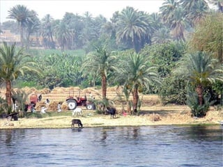 CLIMA EN EGIPTO El clima en Egipto se caracteriza en general por ser muy caluroso en verano y templado en invierno. El largo verano se extiende desde mediados de Marzo hasta los primeros días de Diciembre y el invierno de Diciembre a Marzo. Se aprecian diferencias climáticas dependiendo de la zona del país. El Norte ( El Cairo ), goza de un clima mediterráneo con ligeras lluvias y temperaturas más frescas durante el invierno y veranos muy calurosos. En el Sur (Luxor, Aswan y Lago Nasser ) el clima es seco, desértico y las temperaturas son aproximadamente 5 grados más altas que en el Norte. En el Mar Rojo ( Sharm el Sheikh y Hurghada ) el clima es también seco y desértico con temperaturas extremadamente calurosos en varano y más suaves durante el invierno con grandes contrastes de temperatura entre el día y la noche.  