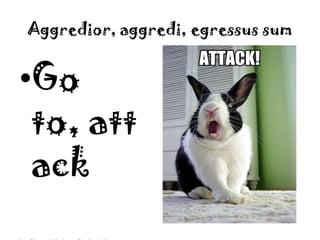 Aggredior, aggredi, egressussumGo to, attackhttp://www.rabbitwise.org/img/attack.jpg
