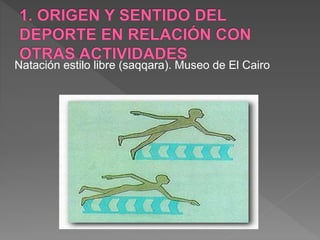 Natación estilo libre (saqqara). Museo de El Cairo
 