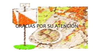 GRACIAS POR SU ATENCIÓN
 