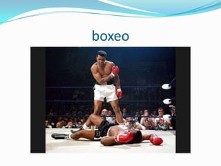 boxeo
 
