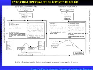 Ejemplo gráfico de estructura funcional de los deportes de equipo ESTRUCTURA FUNCIONAL DE LOS DEPORTES DE EQUIPO   