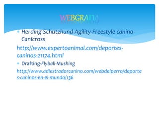  Herding-Schutzhund-Agility-Freestyle canino-
Canicross
http://www.expertoanimal.com/deportes-
caninos-21174.html
 Drafting-Flyball-Mushing
http://www.adiestradorcanino.com/webdelperro/deporte
s-caninos-en-el-mundo/136
 