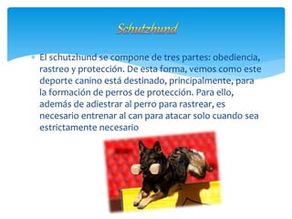  El schutzhund se compone de tres partes: obediencia,
rastreo y protección. De esta forma, vemos como este
deporte canino está destinado, principalmente, para
la formación de perros de protección. Para ello,
además de adiestrar al perro para rastrear, es
necesario entrenar al can para atacar solo cuando sea
estrictamente necesario
 