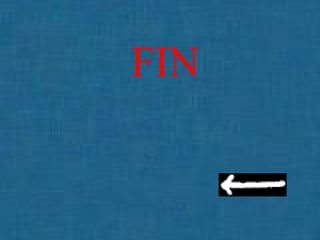 FIN   