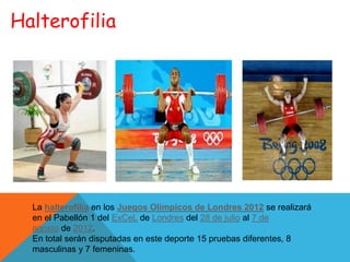 Halterofilia




  La halterofilia en los Juegos Olímpicos de Londres 2012 se realizará
  en el Pabellón 1 del ExCeL de Londres del 28 de julio al 7 de
  agosto de 2012.
  En total serán disputadas en este deporte 15 pruebas diferentes, 8
  masculinas y 7 femeninas.
 