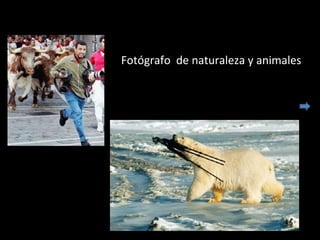 Fotógrafo de naturaleza y animales
 