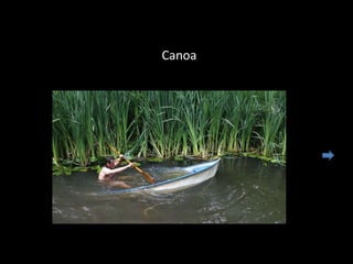 Canoa
 