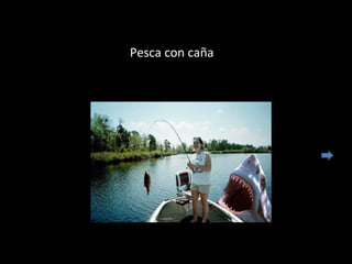 Pesca con caña
 