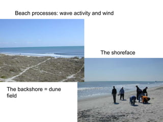Depositional Environment.ppt