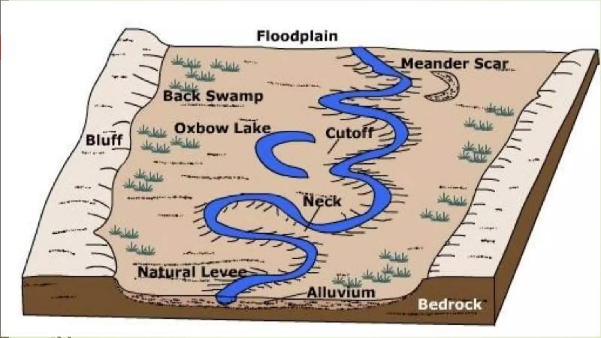  Concave convex oxbow lake
 