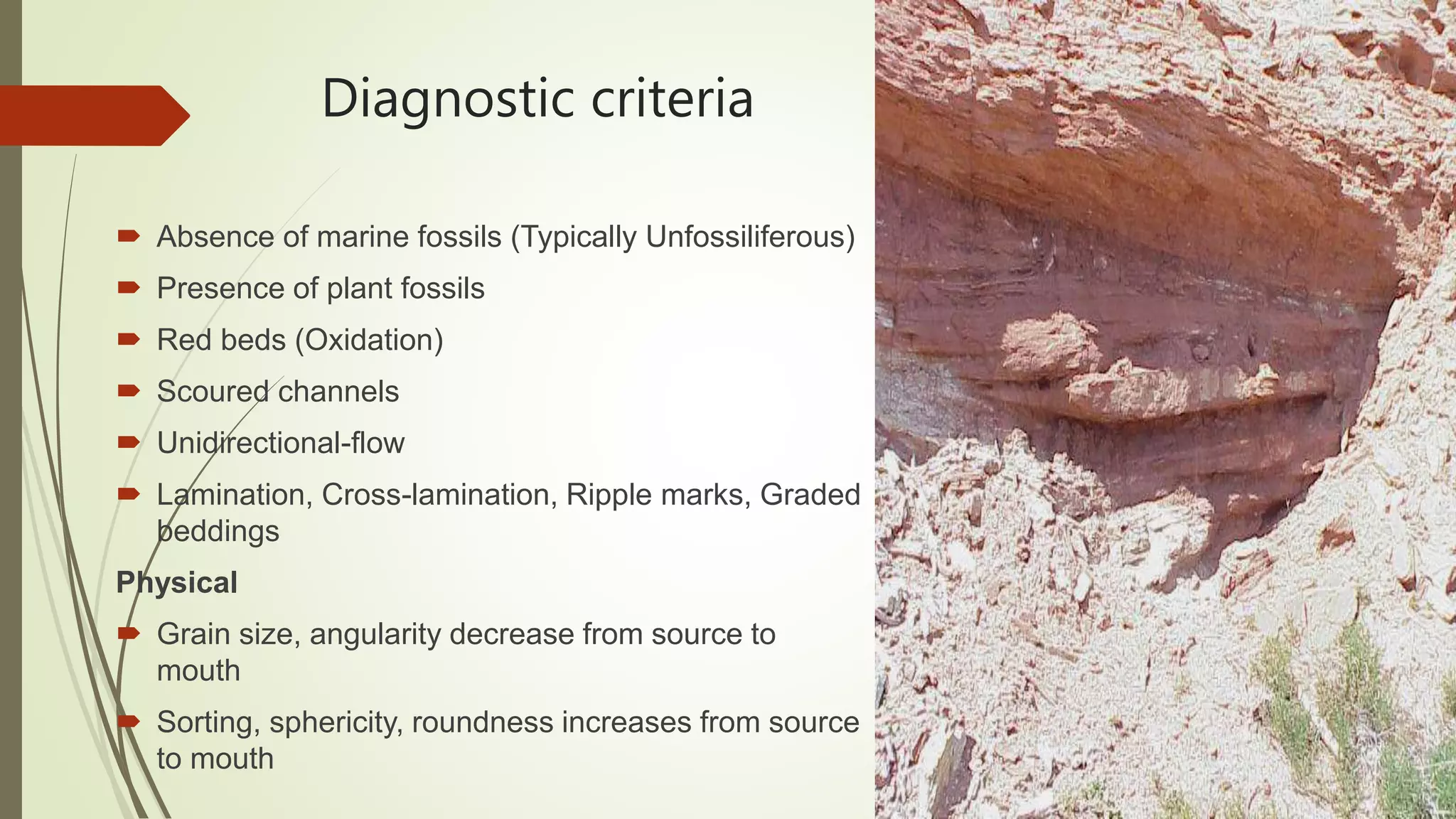 Diagnostic criteria
 Absence of marine fossils (Typically Unfossiliferous)
 Presence of plant fossils
 Red beds (Oxidation)
 Scoured channels
 Unidirectional-flow
 Lamination, Cross-lamination, Ripple marks, Graded
beddings
Physical
 Grain size, angularity decrease from source to
mouth
 Sorting, sphericity, roundness increases from source
to mouth
 