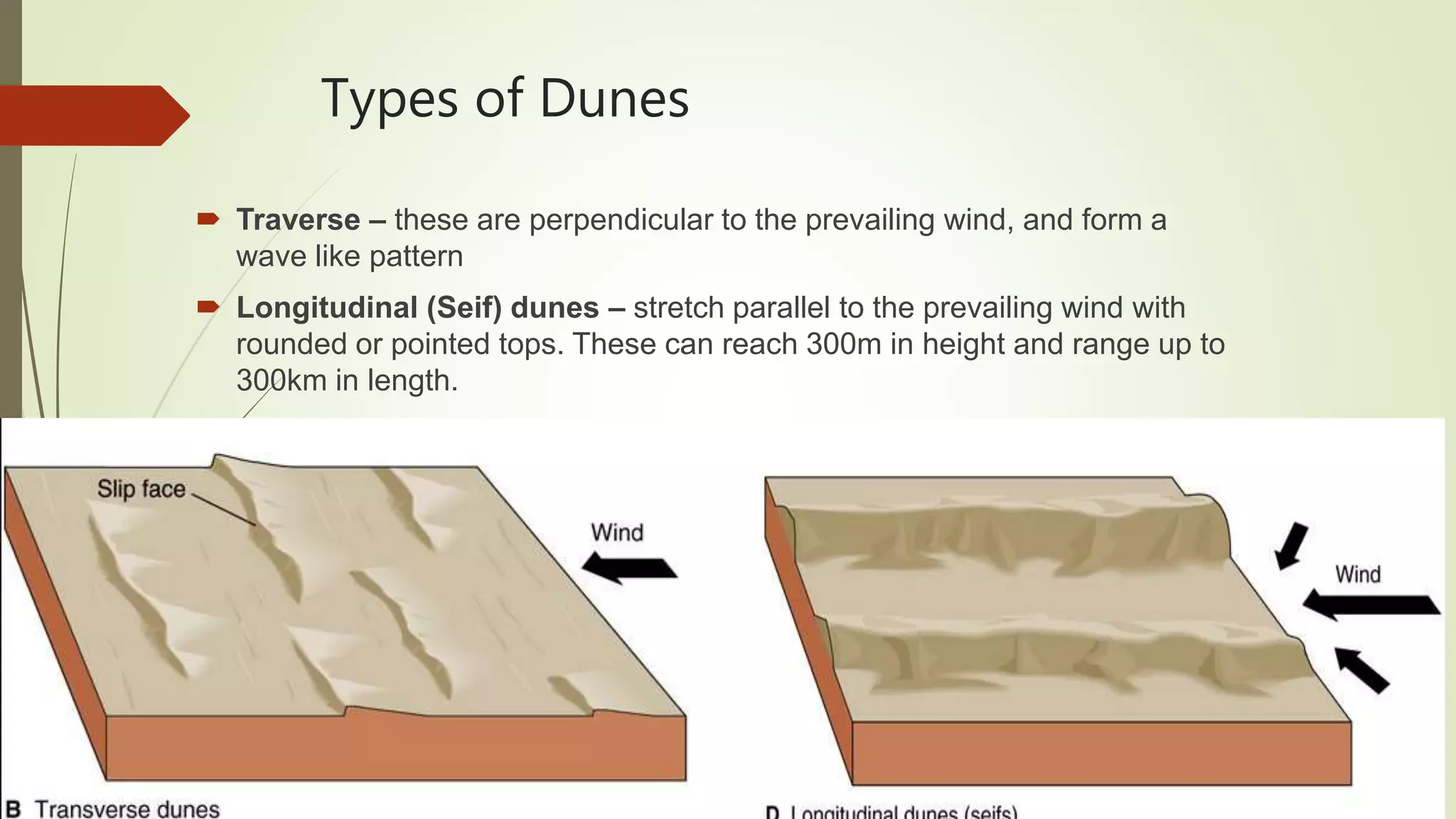 Types of Dunes
 Traverse – these are perpendicular to the prevailing wind, and form a
wave like pattern
 Longitudinal (Seif) dunes – stretch parallel to the prevailing wind with
rounded or pointed tops. These can reach 300m in height and range up to
300km in length.
 