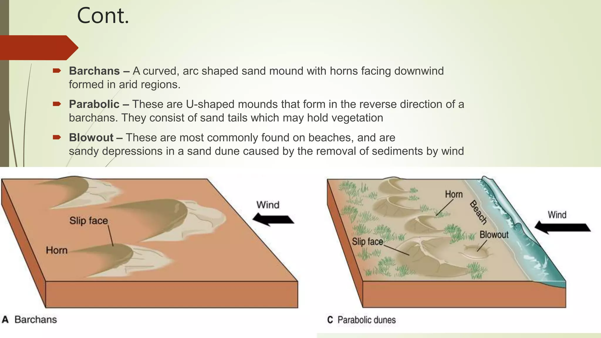 Cont.
 Barchans – A curved, arc shaped sand mound with horns facing downwind
formed in arid regions.
 Parabolic – These are U-shaped mounds that form in the reverse direction of a
barchans. They consist of sand tails which may hold vegetation
 Blowout – These are most commonly found on beaches, and are
sandy depressions in a sand dune caused by the removal of sediments by wind
 