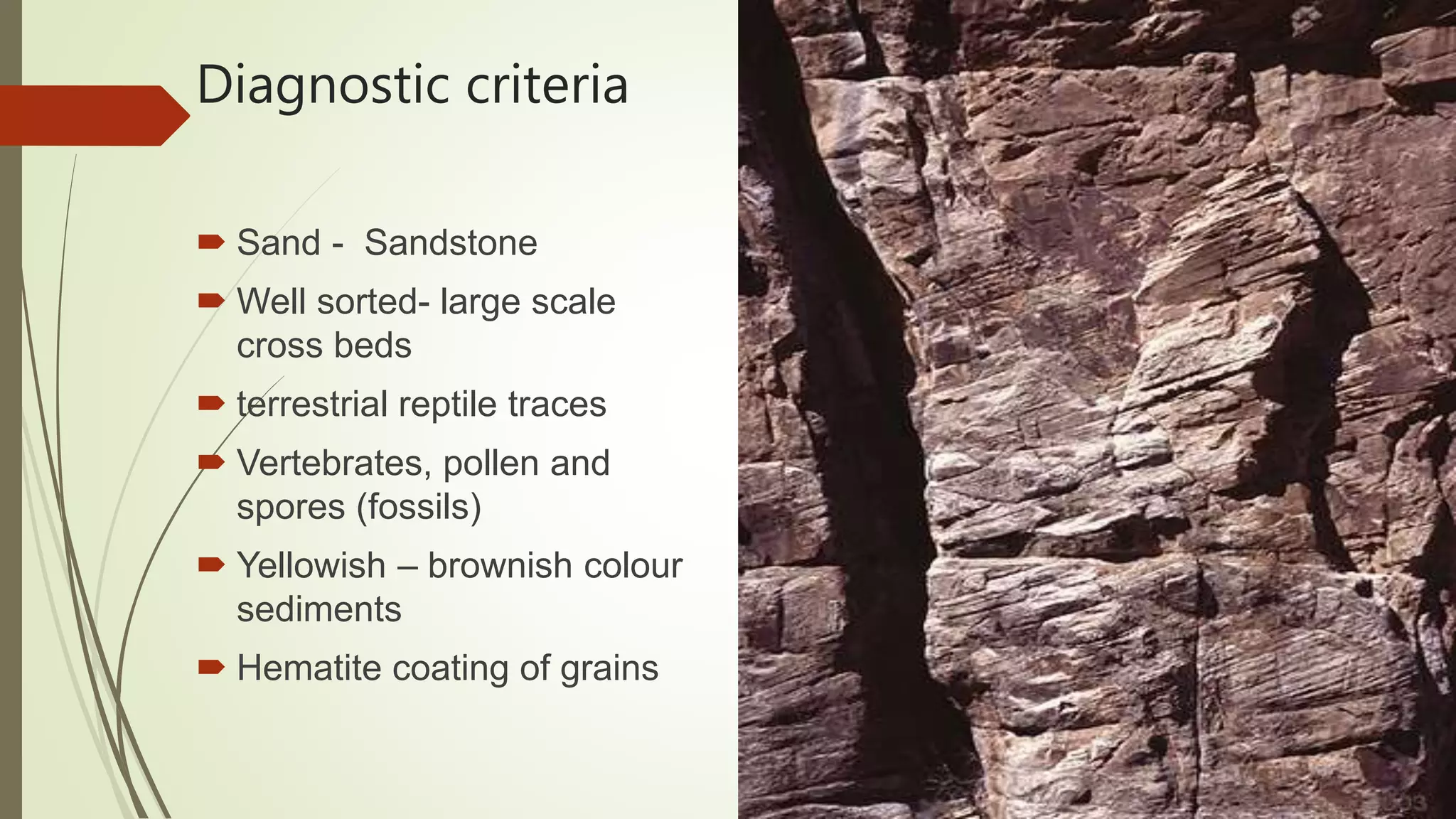Diagnostic criteria
 Sand - Sandstone
 Well sorted- large scale
cross beds
 terrestrial reptile traces
 Vertebrates, pollen and
spores (fossils)
 Yellowish – brownish colour
sediments
 Hematite coating of grains
 