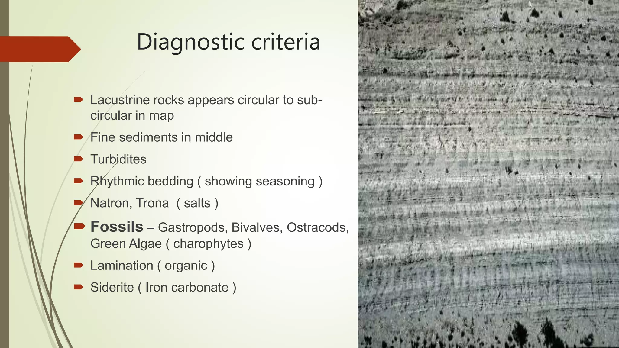 Diagnostic criteria
 Lacustrine rocks appears circular to sub-
circular in map
 Fine sediments in middle
 Turbidites
 Rhythmic bedding ( showing seasoning )
 Natron, Trona ( salts )
 Fossils – Gastropods, Bivalves, Ostracods,
Green Algae ( charophytes )
 Lamination ( organic )
 Siderite ( Iron carbonate )
 