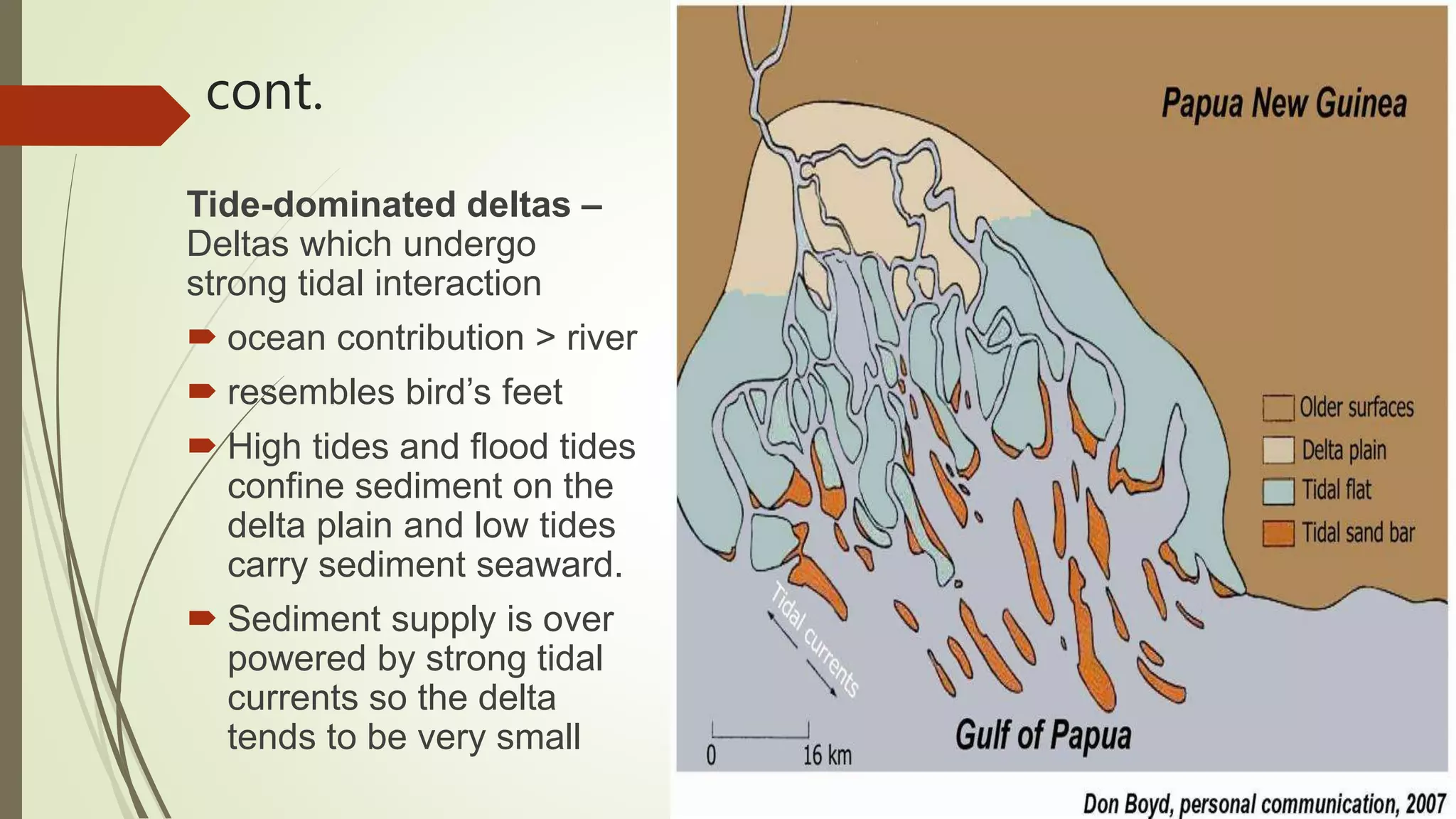 cont.
Tide-dominated deltas –
Deltas which undergo
strong tidal interaction
 ocean contribution > river
 resembles bird’s feet
 High tides and flood tides
confine sediment on the
delta plain and low tides
carry sediment seaward.
 Sediment supply is over
powered by strong tidal
currents so the delta
tends to be very small
 