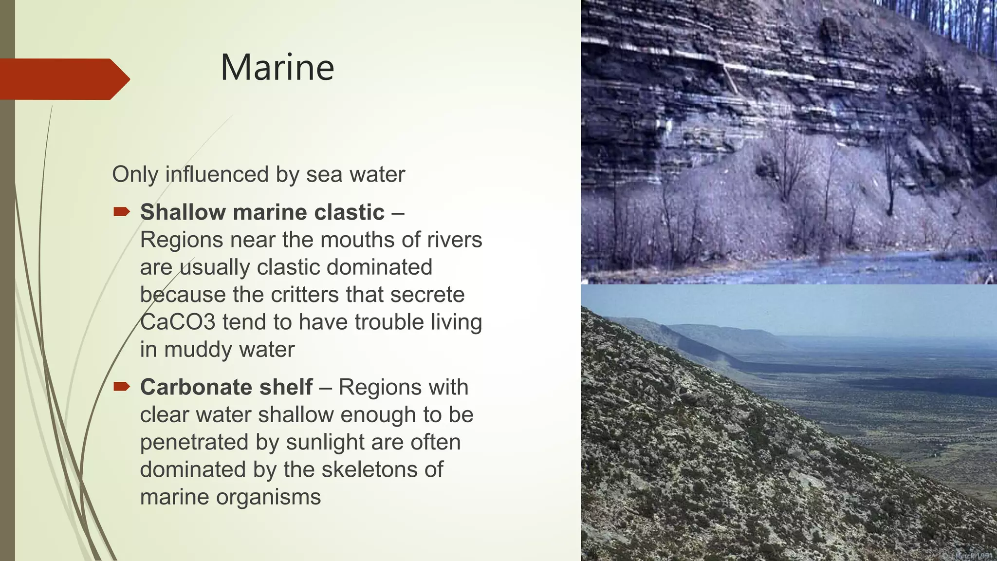 Marine
Only influenced by sea water
 Shallow marine clastic –
Regions near the mouths of rivers
are usually clastic dominated
because the critters that secrete
CaCO3 tend to have trouble living
in muddy water
 Carbonate shelf – Regions with
clear water shallow enough to be
penetrated by sunlight are often
dominated by the skeletons of
marine organisms
 