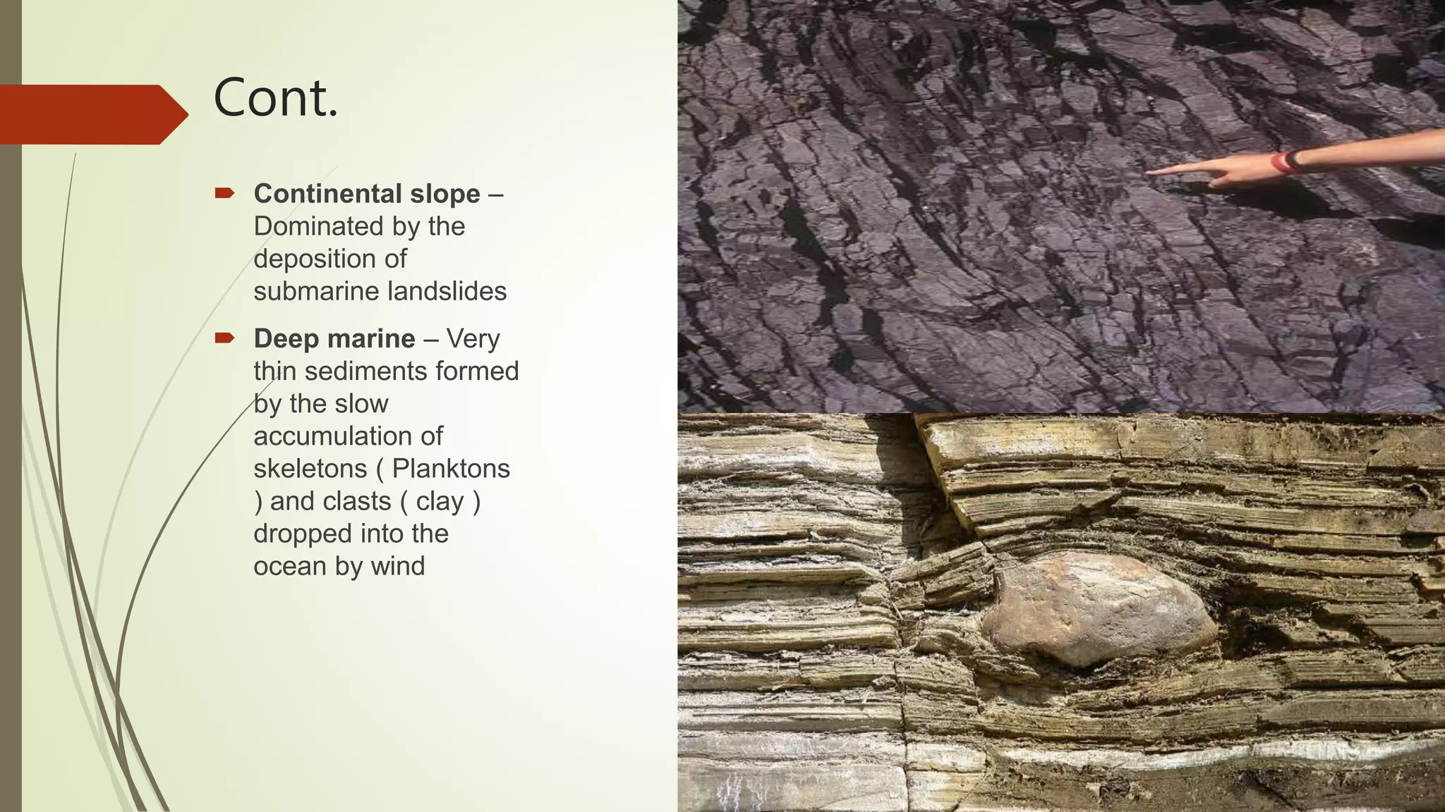 Cont.
 Continental slope –
Dominated by the
deposition of
submarine landslides
 Deep marine – Very
thin sediments formed
by the slow
accumulation of
skeletons ( Planktons
) and clasts ( clay )
dropped into the
ocean by wind
 