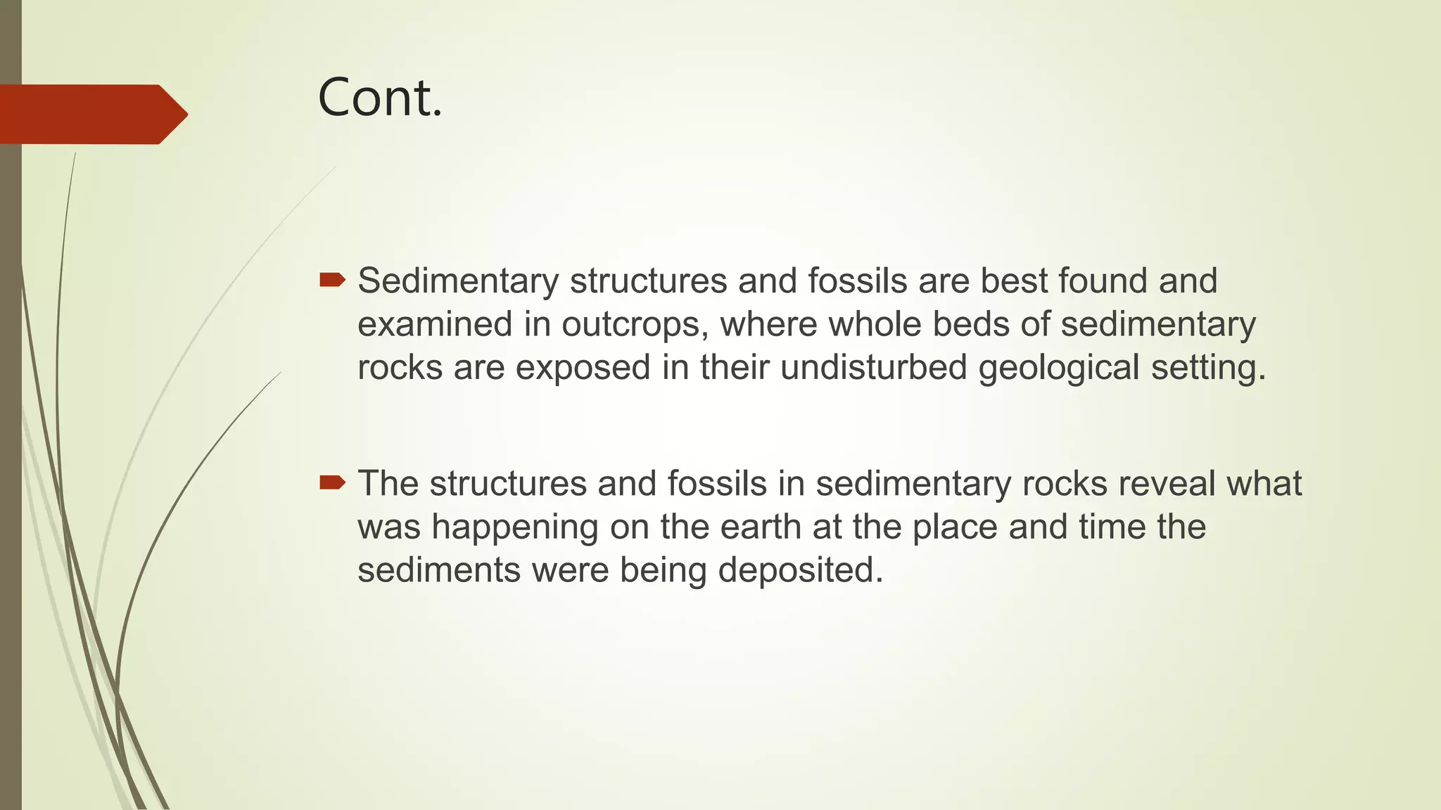 Cont.
 Sedimentary structures and fossils are best found and
examined in outcrops, where whole beds of sedimentary
rocks are exposed in their undisturbed geological setting.
 The structures and fossils in sedimentary rocks reveal what
was happening on the earth at the place and time the
sediments were being deposited.
 