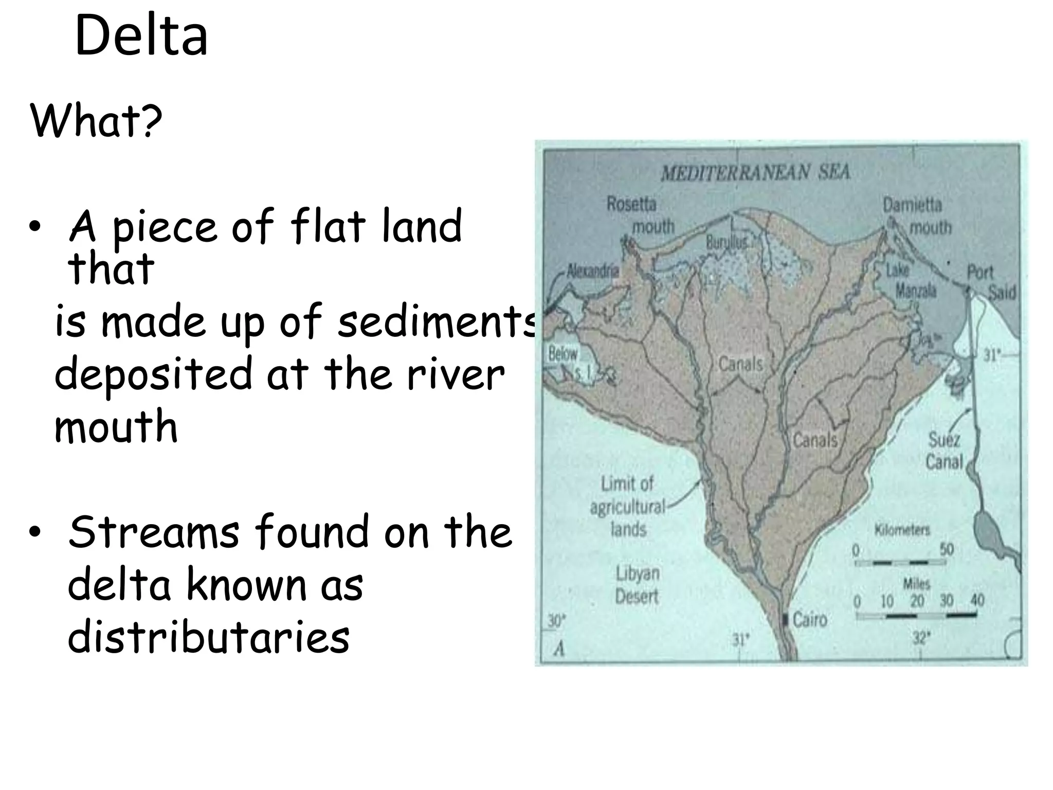 Delta
What?
• A piece of flat land
that
is made up of sediments
deposited at the river
mouth
• Streams found on the
delta known as
distributaries
 