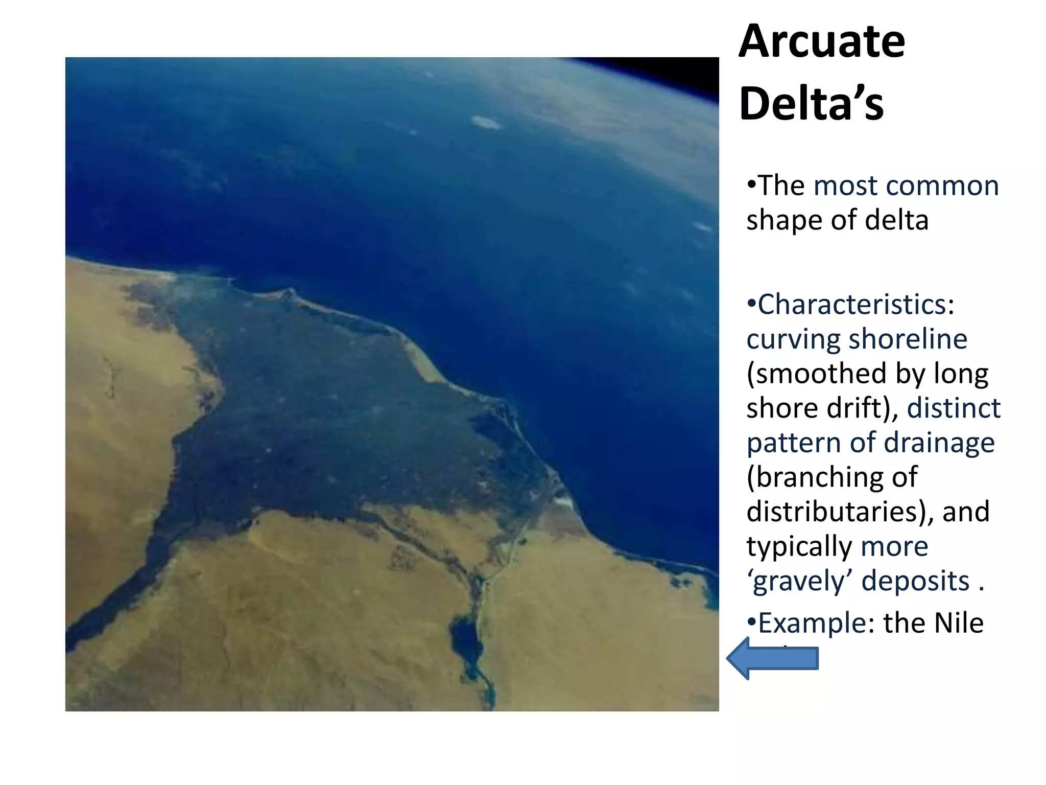 •The most common
shape of delta
•Characteristics:
curving shoreline
(smoothed by long
shore drift), distinct
pattern of drainage
(branching of
distributaries), and
typically more
‘gravely’ deposits .
•Example: the Nile
Delta
Arcuate
Delta’s
 