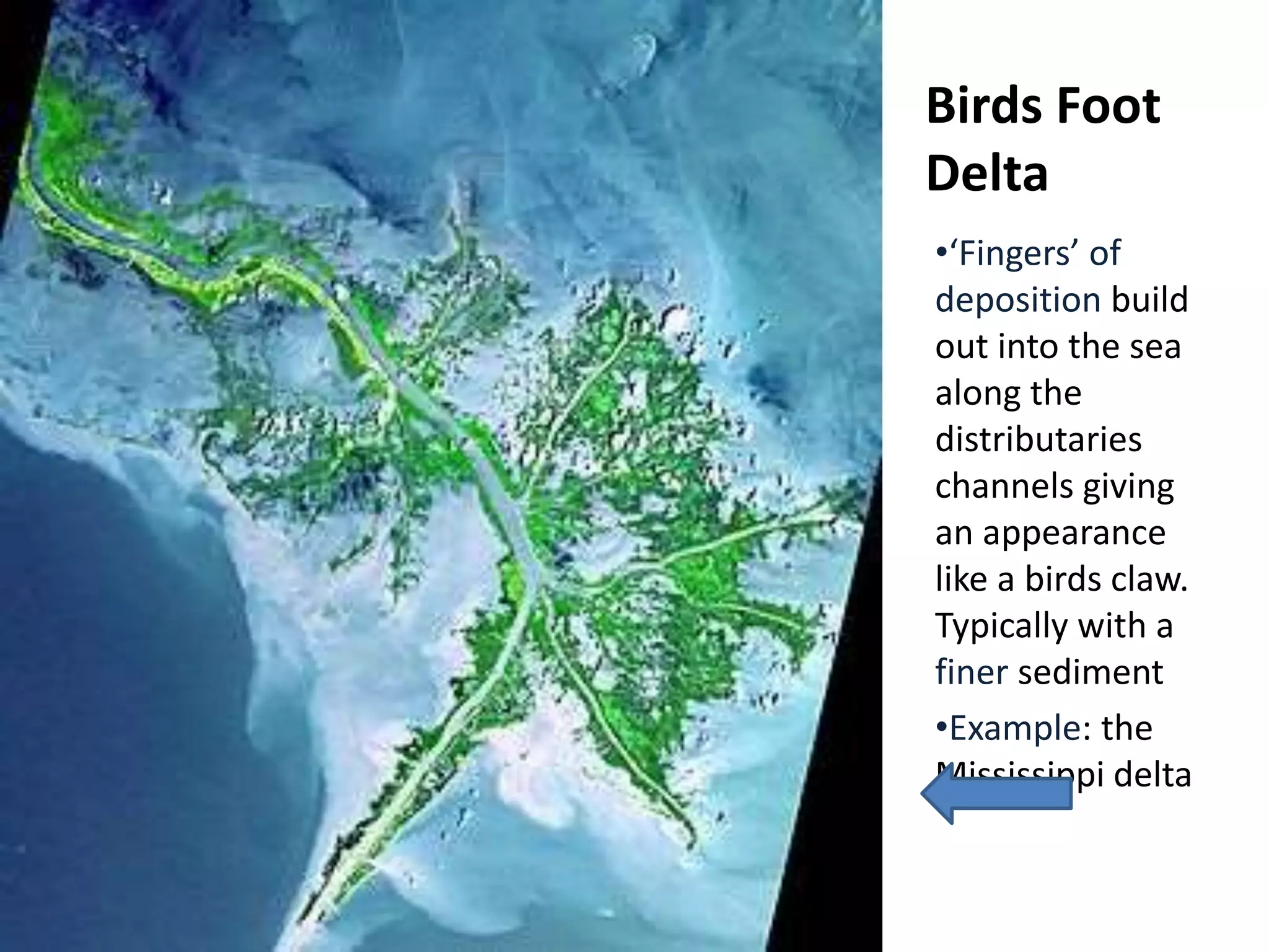 •‘Fingers’ of
deposition build
out into the sea
along the
distributaries
channels giving
an appearance
like a birds claw.
Typically with a
finer sediment
•Example: the
Mississippi delta
Birds Foot
Delta
 