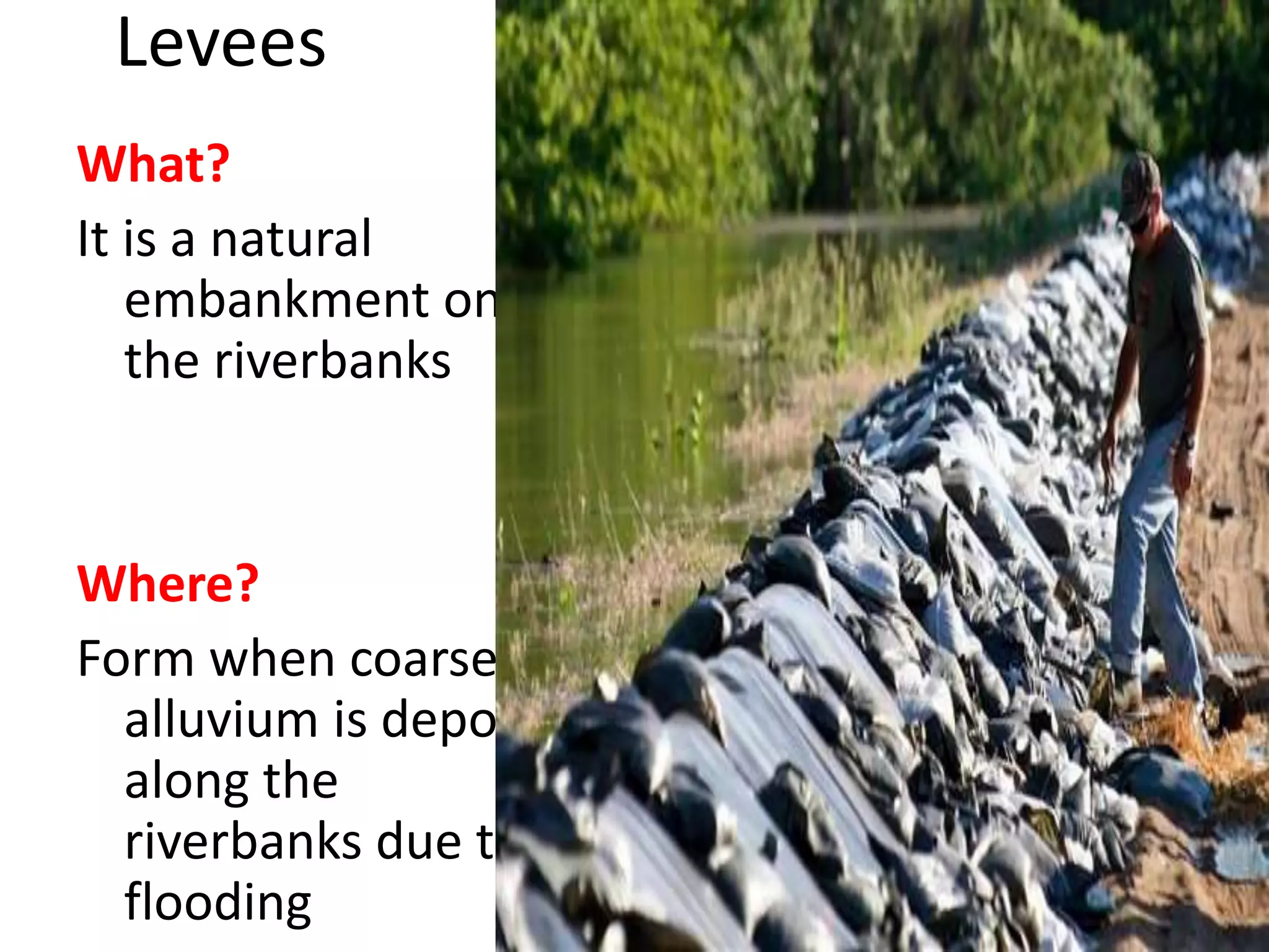 Levees
What?
It is a natural
embankment on
the riverbanks
Where?
Form when coarser
alluvium is deposit
along the
riverbanks due to
flooding
 