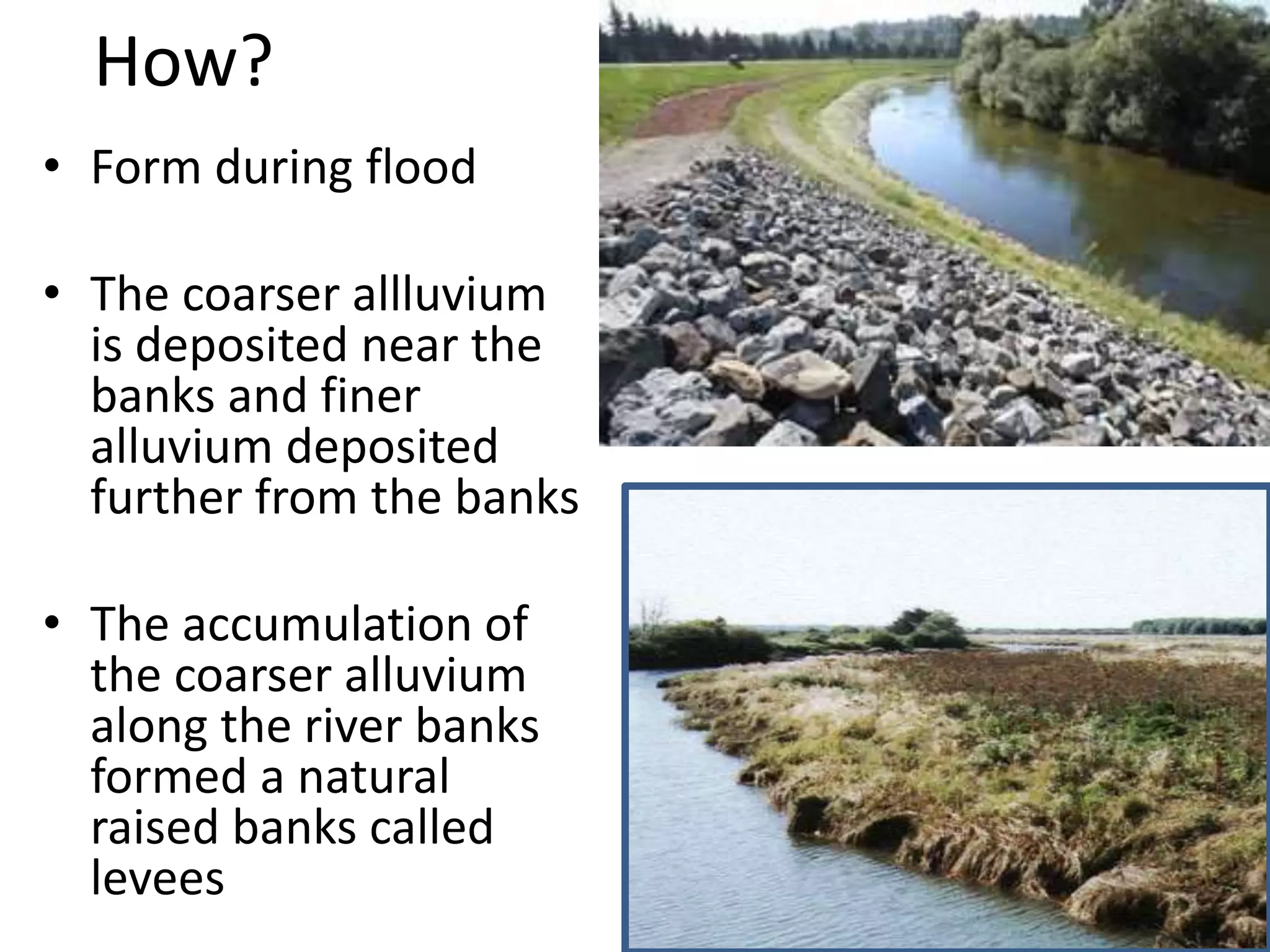 How?
• Form during flood
• The coarser allluvium
is deposited near the
banks and finer
alluvium deposited
further from the banks
• The accumulation of
the coarser alluvium
along the river banks
formed a natural
raised banks called
levees
 
