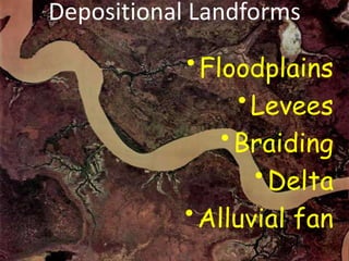 Depositional Landforms
•Floodplains
•Levees
• Braiding
•Delta
•Alluvial fan
 
