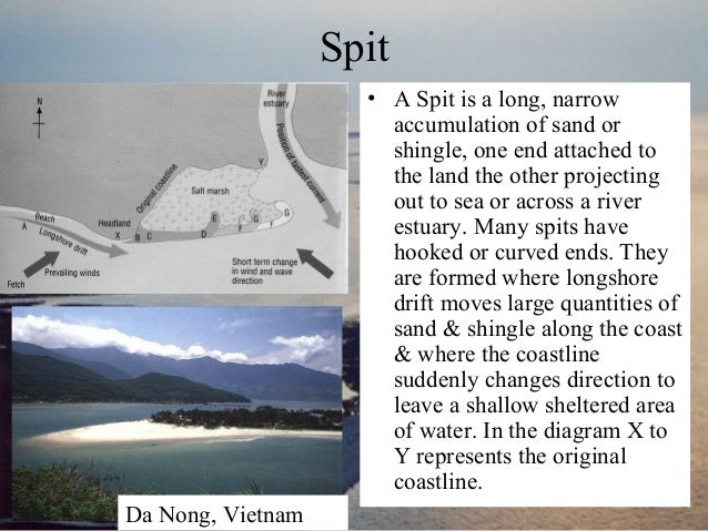 Depositional landforms salt marsh diagram 