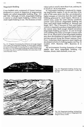 Depositional sedimentary environments